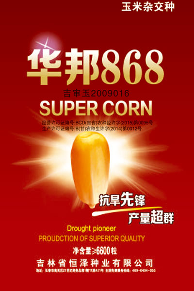 華邦868 華邦868